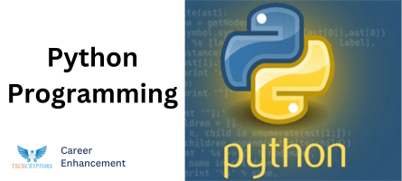 python programming